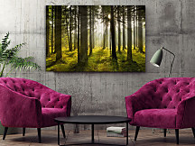 Obraz Slnko medzi stromami 1574